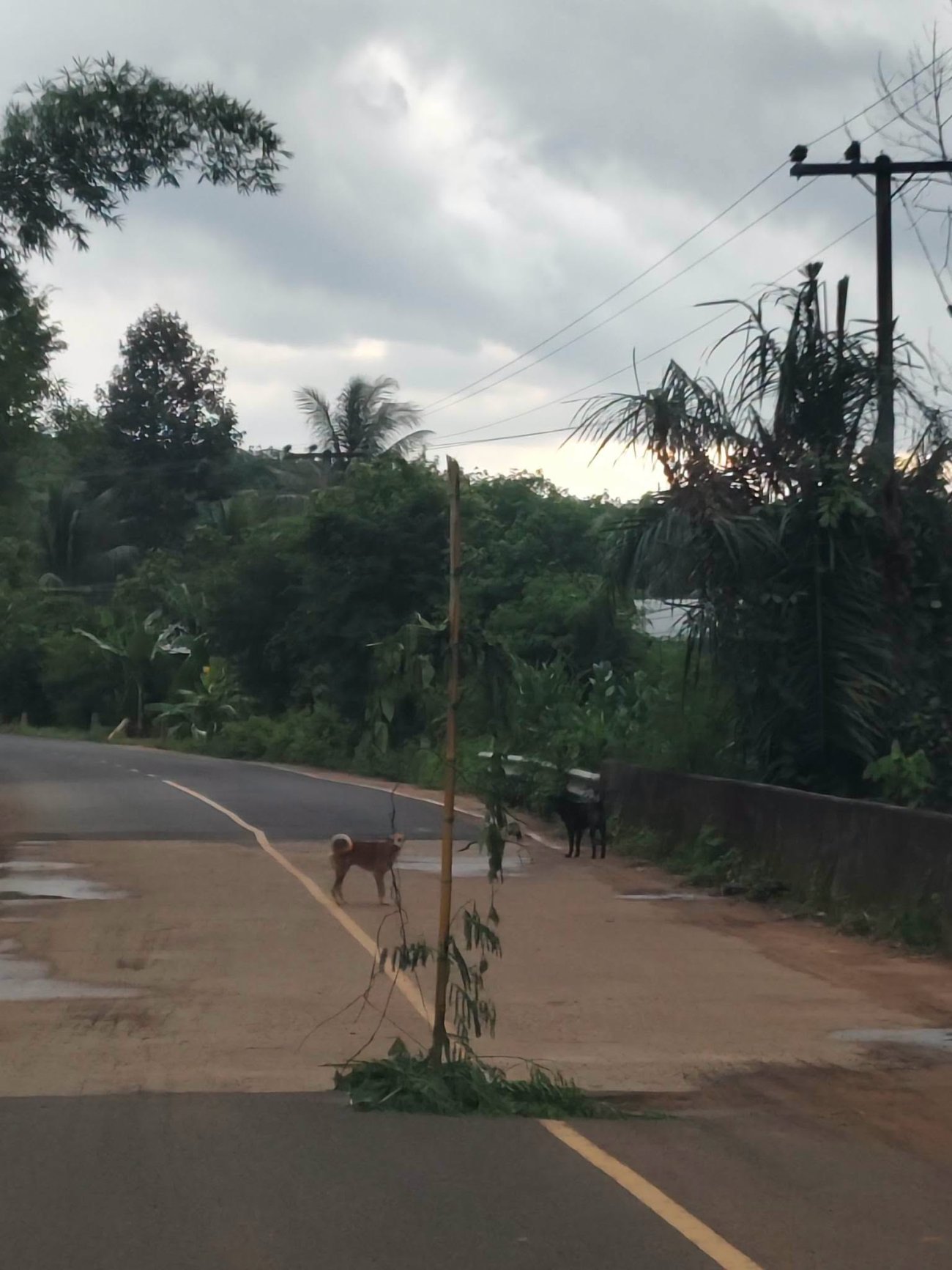 เจ้าหน้าที่ดำเนินการสำรวจถนนบริเวณคอสะพานที่ชำรุดเนื่องจากอุทกภัย บ้านจันลา หมู่ที่ 10